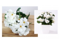 Bukiet PELARGONIA wys. 26 cm 5 łodyg (kwiat 5,5 cm) BIAŁA