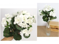 Bukiet PELARGONIA wys. 34 cm 5 łodyg BIAŁA