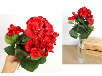 Bukiet PELARGONIA wys. 34 cm 5 łodyg CZERWONA