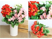 Bukiet PELARGONIA wys. 35 cm 9 łodyg MIX KOLOR