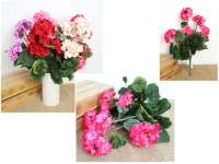 Bukiet PELARGONIA wys. 46 cm, 9 łodyg 9 (6 kwiatów 10-6 cm) MIX KOLOR - 1 szt 