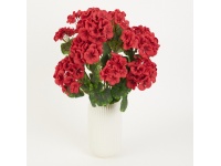 Bukiet PELARGONIA wys. 56 cm, 7 łodyg - CZERWONY