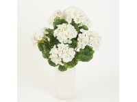 Bukiet PELARGONIA wys. 56 cm, 7 łodyg - KREMOWY