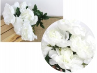 Bukiet Peonia wys. 50 cm 7 łodyg (7 kwiatów 12 cm) BIAŁY