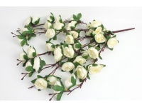 Bukiet PIWONIA wys. 57 cm, 7 łodyg (kwiat 5x2 cm) ECRU