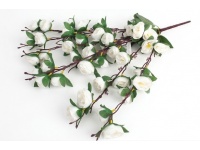 Bukiet PIWONIA wys. 57 cm, 7 łodyg (kwiat 5x2 cm) BIAŁA