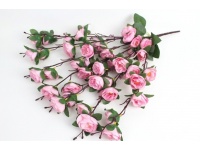 Bukiet PIWONIA wys. 57 cm, 7 łodyg (kwiat 5x2 cm) RÓŻOWA