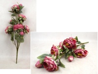 Bukiet PIWONIA wys. 69 cm, 7 łodyg (5 kwiatów 10x5 cm + 3 pąki) RÓŻOWA cieniowana