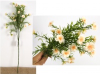 Bukiet PORTULAKA wys. 62 cm (25 kwiatów 3 cm) ECRU
