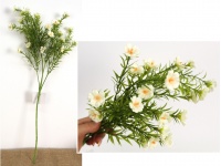 Bukiet PORTULAKA wys. 62 cm (25 kwiatów 3 cm) BIAŁA