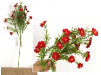 Bukiet PORTULAKA wys. 62 cm (25 kwiatów 3 cm) CZERWONA