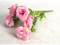 Bukiet RÓŻA wys. 30 cm, 6 łodyg (6 kwiatów 5x3 cm) RÓŻOWA