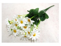 Bukiet STOKROTKA wys. 35 cm 7 łodyg (kwiat 4 cm) BIAŁY