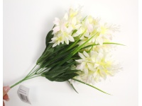 Bukiet TUBEROZA wys. 40 cm 5 łodyg (kwiat 6 cm) BIAŁA
