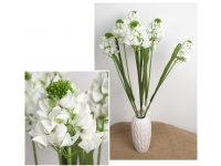 Bukiet TUBEROZA wys. 64 cm, 7 łodyg (kwiat 10x8 cm) BIAŁY