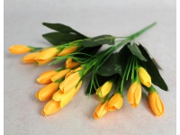 Bukiet TULIPAN pączki wys. 36 cm, 7 łodyg (31 kwiatów 4x2 cm) ŻÓŁTY