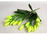 Bukiet TULIPAN pączki wys. 36 cm, 7 łodyg (31 kwiatów 4x2 cm) LIMONKOWY