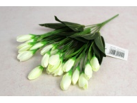 Bukiet TULIPAN pączki wys. 36 cm, 7 łodyg (31 kwiatów 4x2 cm) ŚMIETANOWY