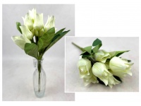 Bukiet TULIPAN wys. 44 cm 9 łodyg (9 kwiatów 7x4,5 cm) BIAŁO-LIMONKOWY