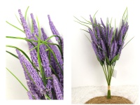 Bukiet WRZOS wys. 50 cm, 9 łodyg w pęczku - FIOLETOWY