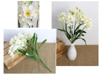 Bukiet ŻONKIL wys.40 cm, 7 łodyg (kwiat 5,5x2 cm) - BIAŁY