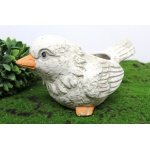 Kliknij aby zobaczyć zdjęcie w oryginalnej wielkości