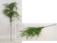 Gałązka ala ASPARAGUS 4 ramiona, wys. 100 cm - ZIELONA