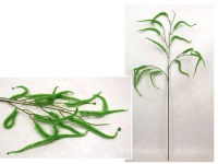 Gałązka AMARANTUS silikonowy wys. 90 cm, 2 ramiona ZIELONA