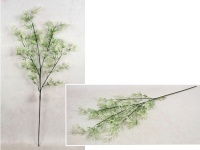 Gałązka ASPARAGUS 4 ramiona, wys. 90 cm - zielona z białymi końcami
