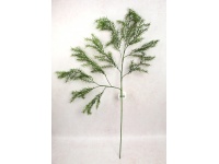 Gałązka ASPARAGUS wys. 105 cm ciemno ZIELONY