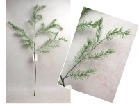 Gałązka ASPARAGUS wys. 86 cm ZIELONA bielona