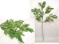 Gałązka BORÓWKA silikonowa wys. 90 cm ZIELONA