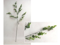 Gałązka EUKALIPTUS wys. 81 cm ZIELONA