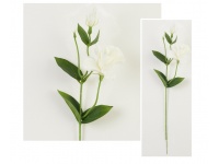 Gałązka EUSTOMA wys. 54 cm kwiat 9,5x6 cm - BIAŁA