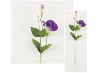 Gałązka EUSTOMA wys. 54 cm kwiat 9,5x6 cm - FIOLETOWO KREMOWA