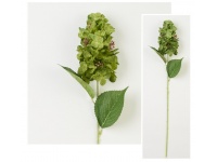 Gałązka HORTENSJA wys. 61 cm kwiat 16 cm - ZIELONA