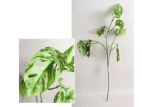 Gałązka MONSTERA wys. 78 cm, 3 ramiona ZIELONA cieniowana