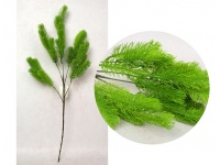 Gałązka silikonowa PE SOSNA 70 cm zielona