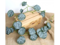 Girlanda EUKALIPTUS 120 cm zielono szary