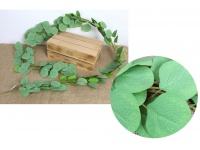 Girlanda EUKALIPTUS 200 cm ZIELONY JASNY