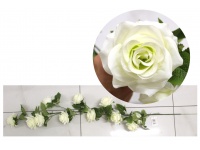 Girlanda RÓŻA 1-ramienna 1,2 m (11 kwiatów 8 cm) BIAŁA