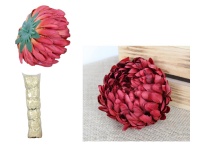 z Główka kwiatowa CHRYZANTEMA ANANAS 13x6 cm BORDOWO-BRĄZOWA cieniowana