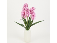 HIACYNT wys. 64 cm 7 łodyg (7 kwiatów 13 cm) RÓŻOWY