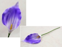 Kalia pojedyncza piankowa wysokość 40 cm kwiat 13x6,5 cm FIOLETOWA
