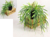 Kwiat ala PAPROĆ, zwis w czarnej doniczce wys. 40 cm