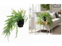 Kwiat ala PAPROĆ, zwis w czarnej doniczce wys. 40 cm