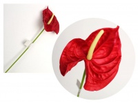 Kwiat ANTURIUM piankowe wys. 60 cm (kwiat 14x10,5 cm) CZERWONE