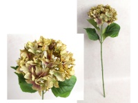 Kwiat HORTENSJA wys. 67 cm (kwiat 18x10 cm) BEŻOWO-ZIELONY