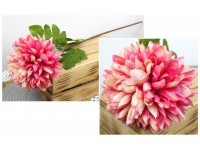 z Kwiat CHRYZANTEMA 75 cm główka kwiatowa 15 cm RÓŻOWA z przebarwieniami