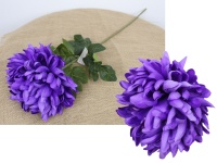 z Kwiat CHRYZANTEMA BOMBA pojedyncza (19x8 cm) łodyga 75 cm FIOLETOWA